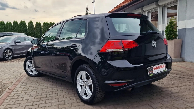 Volkswagen Golf cena 39800 przebieg: 135000, rok produkcji 2013 z Suchań małe 667